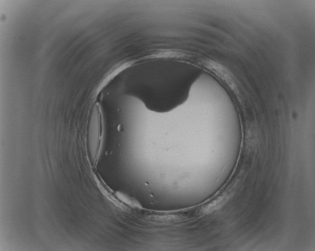 X0000082691425200702091646