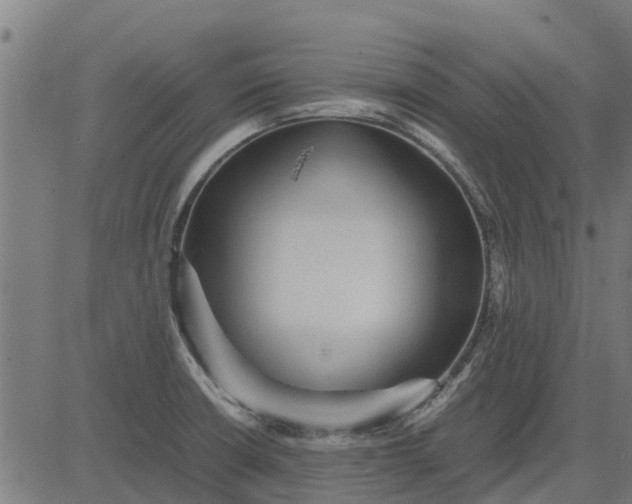 X0000082691426200702091646