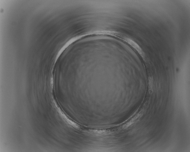 X0000082691428200702091646