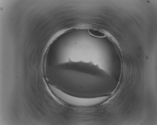 X0000082691429200702091646