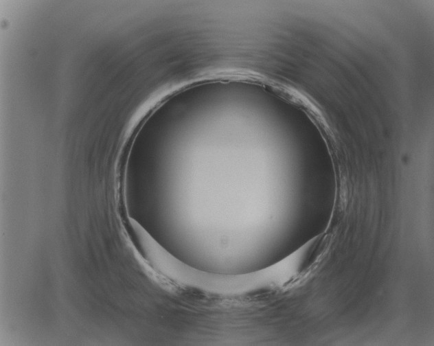 X0000082691430200702091646