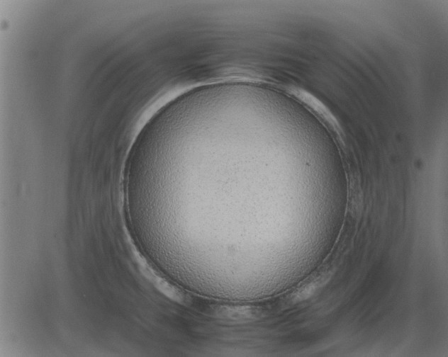 X0000082691431200702091646