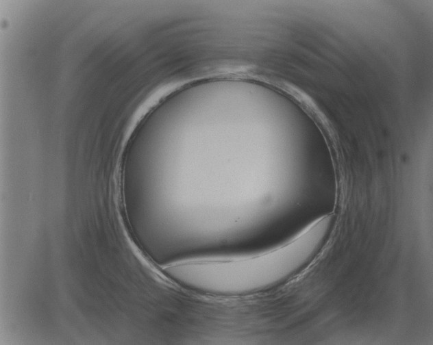 X0000082691432200702091646