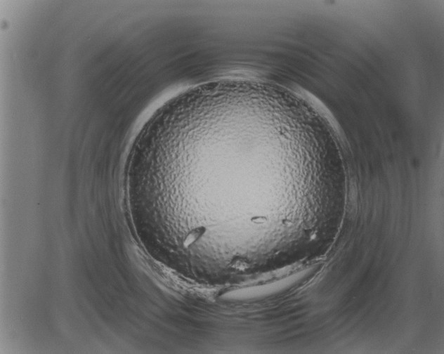 X0000082691435200702091646