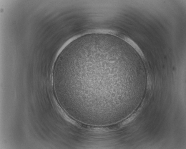 X0000082691436200702091646