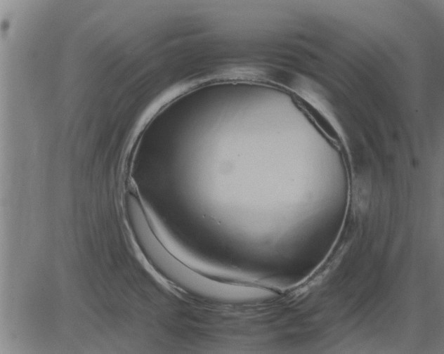 X0000082691437200702091646