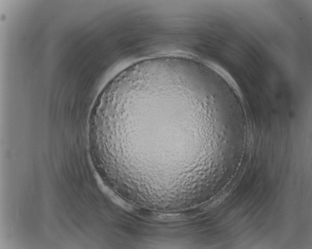 X0000082691439200702091646