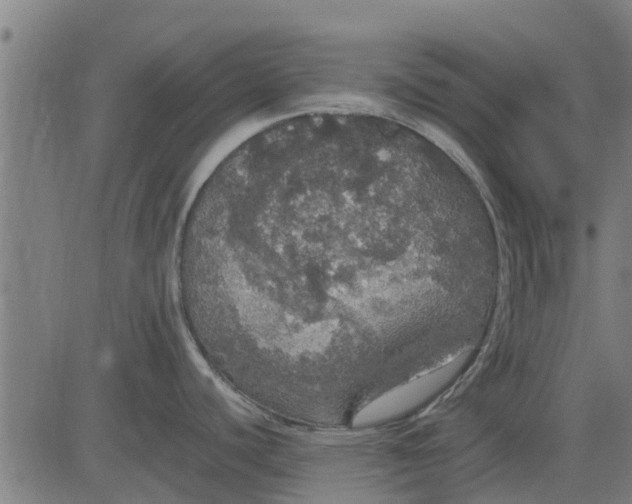 X0000082691440200702091646