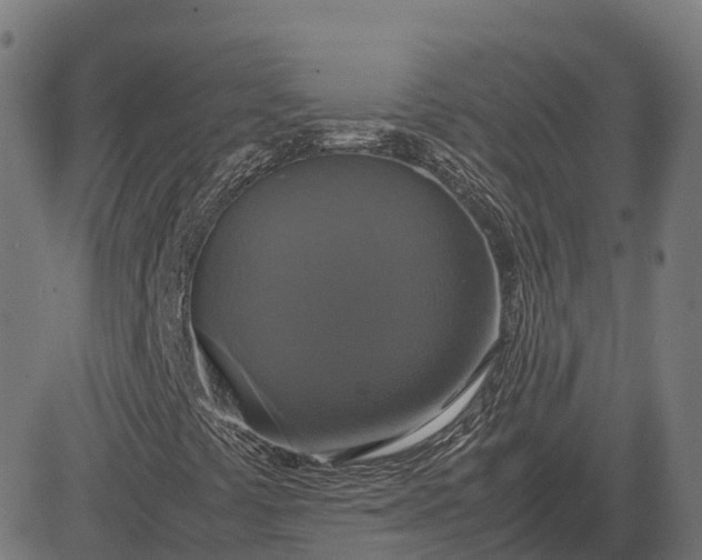 X0000082691441200702091645