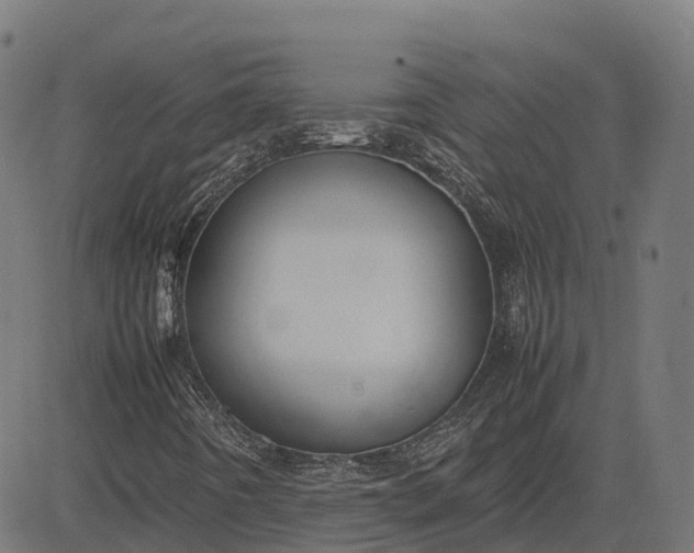 X0000082691442200702091645