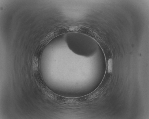 X0000082691443200702091645