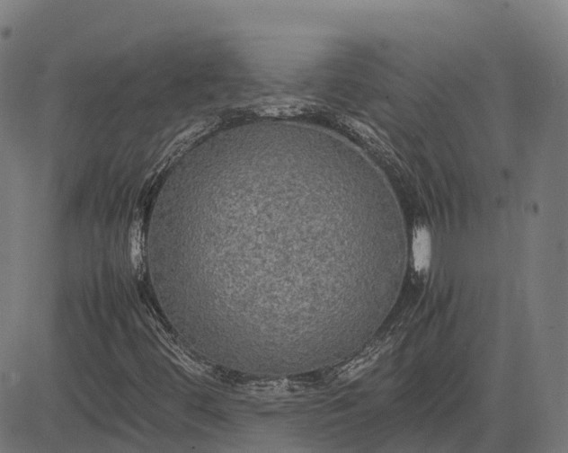 X0000082691444200702091645