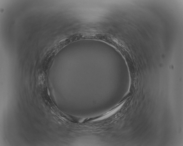 X0000082691445200702091645