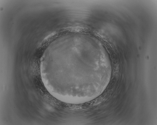 X0000082691446200702091645