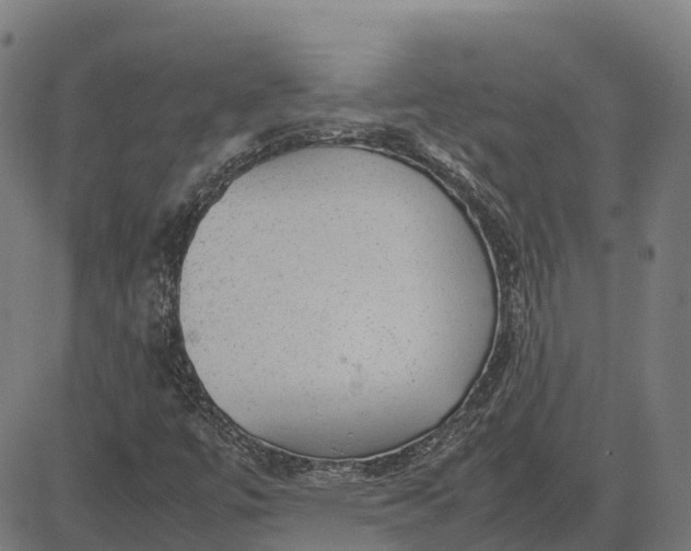 X0000082691447200702091645