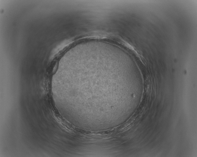 X0000082691448200702091645