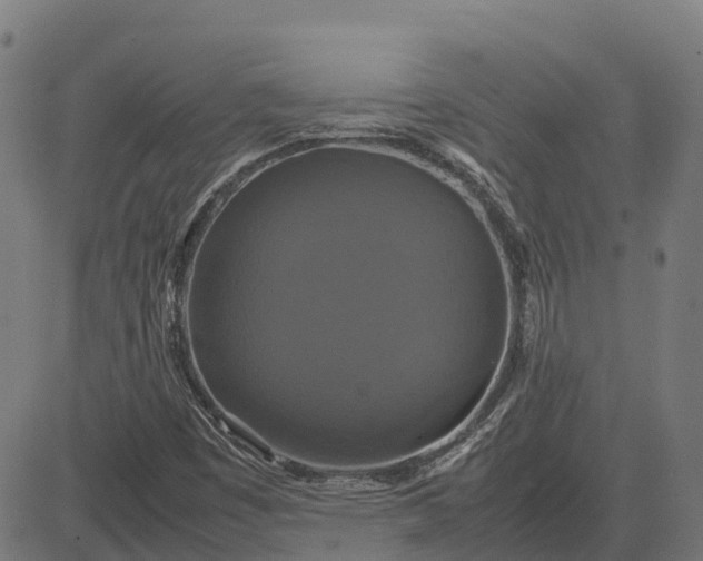 X0000082691449200702091645