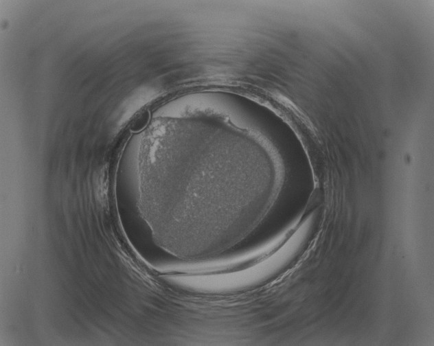 X0000082691450200702091645