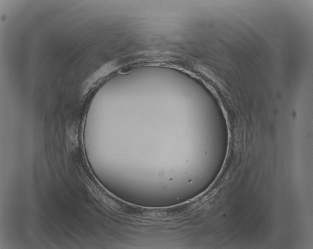 X0000082691451200702091645