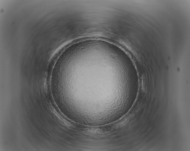 X0000082691452200702091645