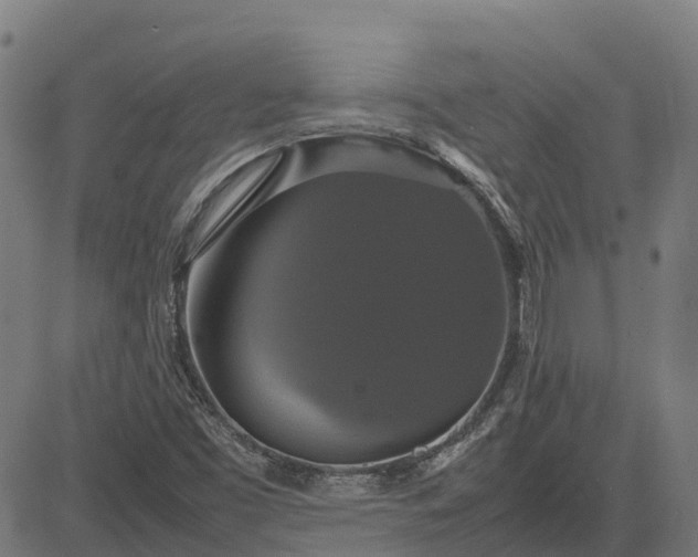 X0000082691453200702091645