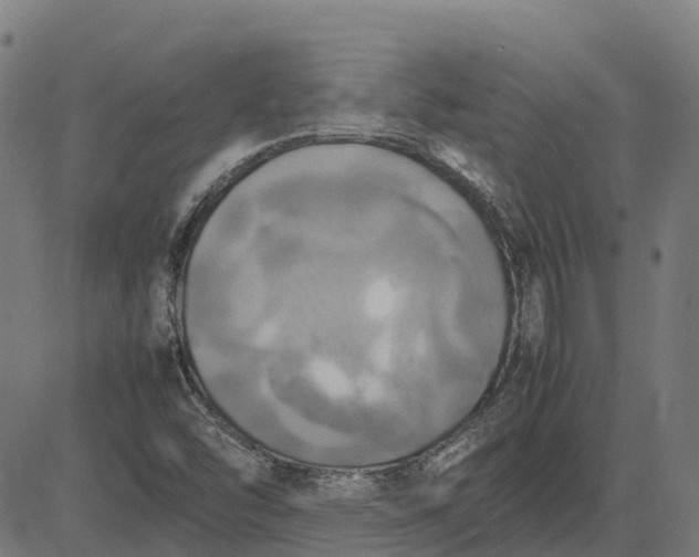 X0000082691454200702091645