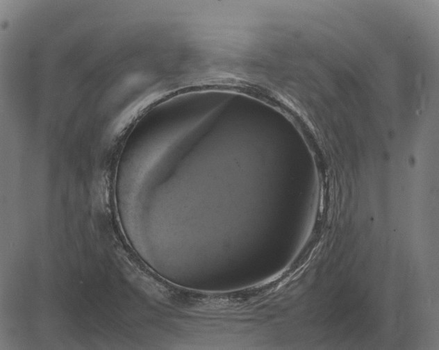 X0000082691455200702091645