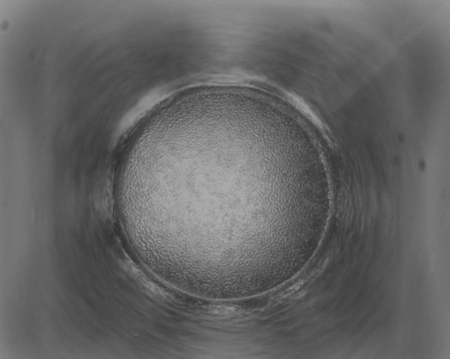 X0000082691456200702091645