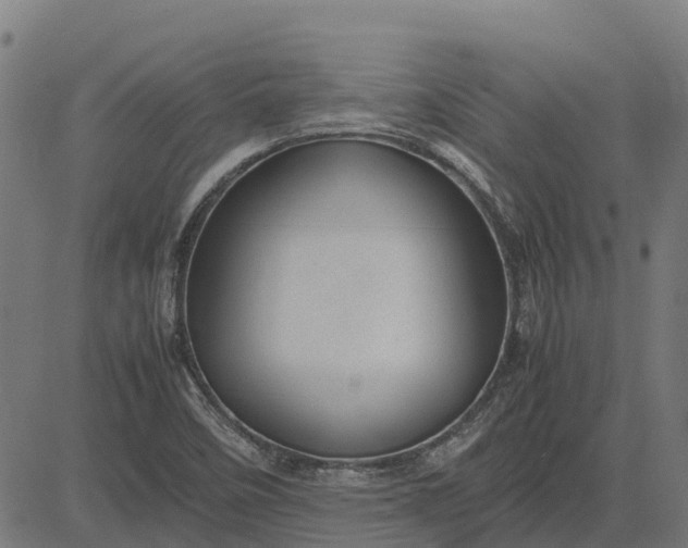 X0000082691458200702091645