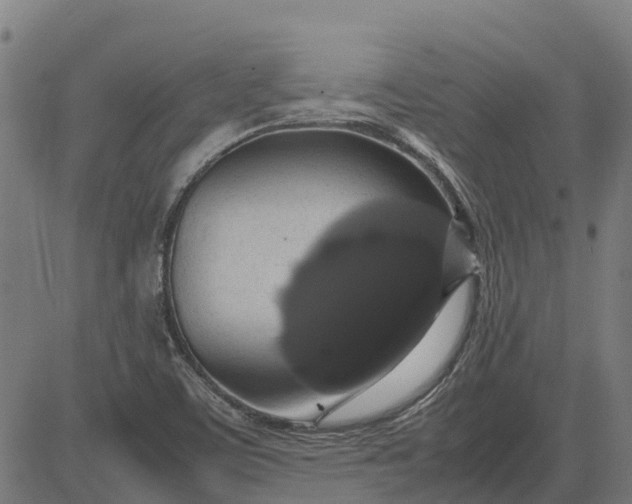 X0000082691459200702091645