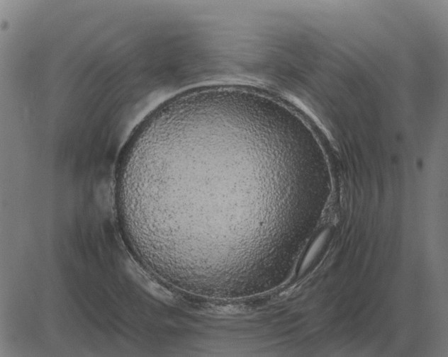 X0000082691460200702091645