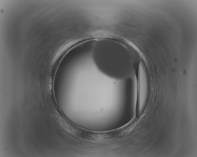 X0000082691461200702091645