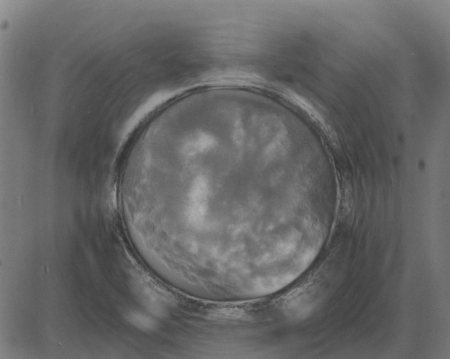 X0000082691462200702091645