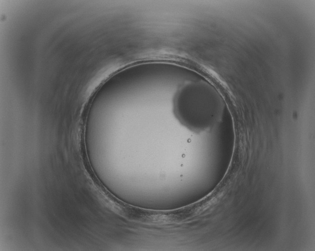 X0000082691463200702091645