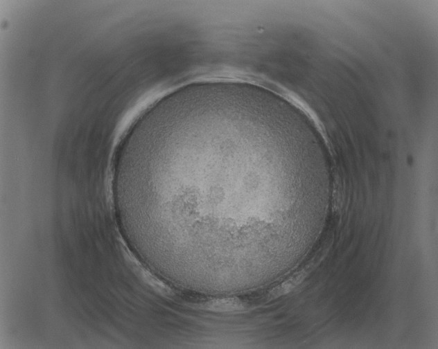 X0000082691464200702091645