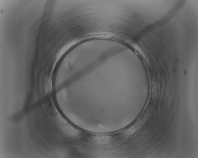 X0000082691466200702091645