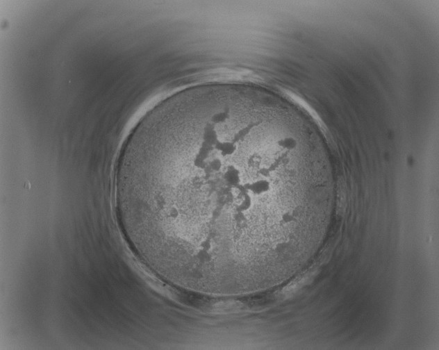 X0000082691467200702091645