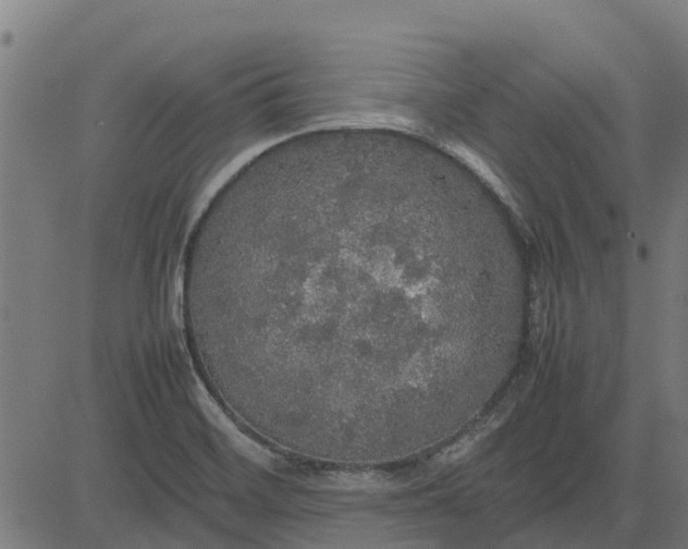 X0000082691468200702091645