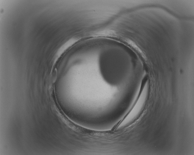 X0000082691469200702091645