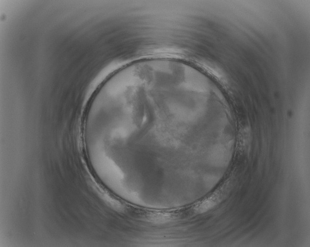 X0000082691470200702091645