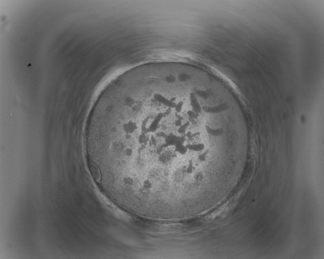 X0000082691471200702091645