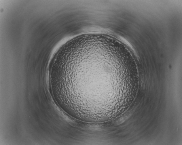 X0000082691472200702091645