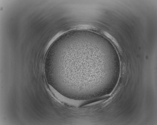 X0000082691473200702091645