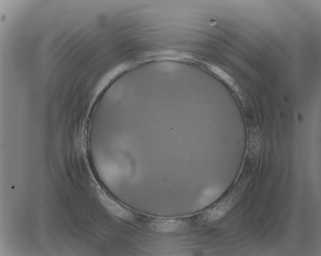 X0000082691474200702091645