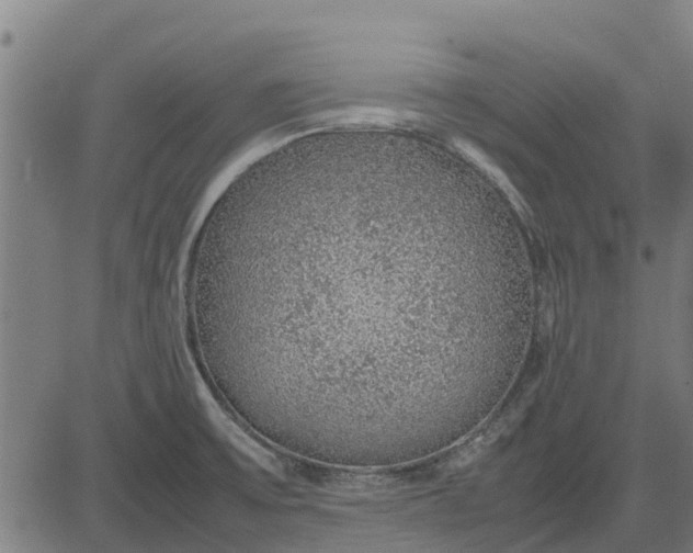 X0000082691475200702091645