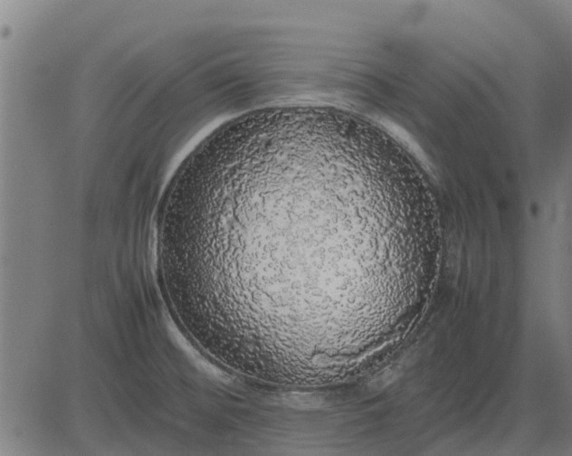 X0000082691476200702091645