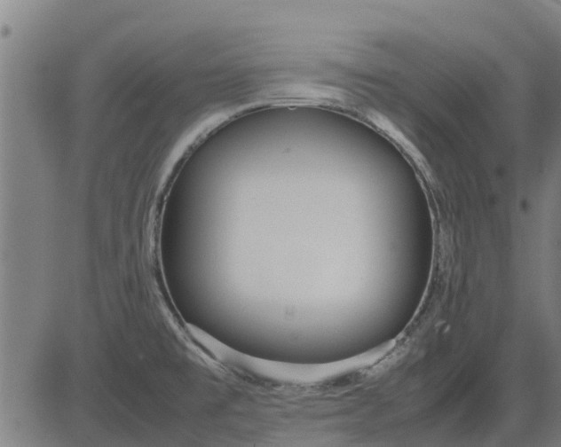 X0000082691477200702091645