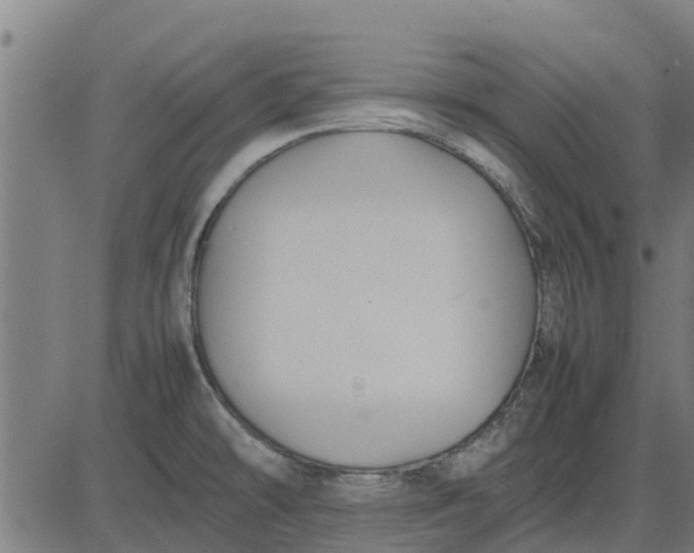 X0000082691478200702091645