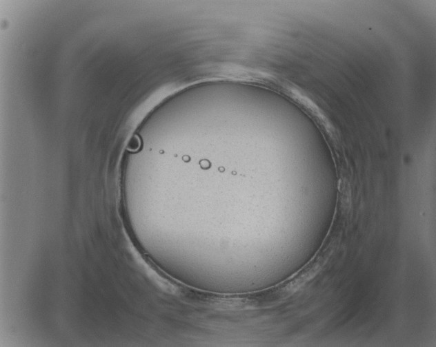 X0000082691479200702091645