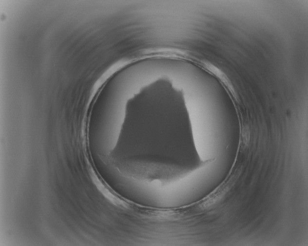 X0000082691482200702091645